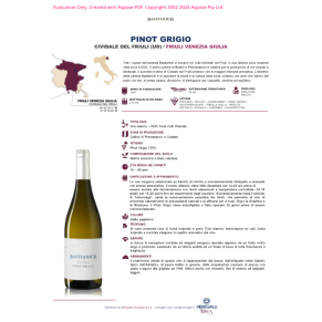 VINO BIANCO PINOT GRIGIO BASTIANICH 75 CL