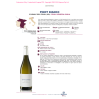 VINO BIANCO PINOT BIANCO BASTIANICH 75 CL