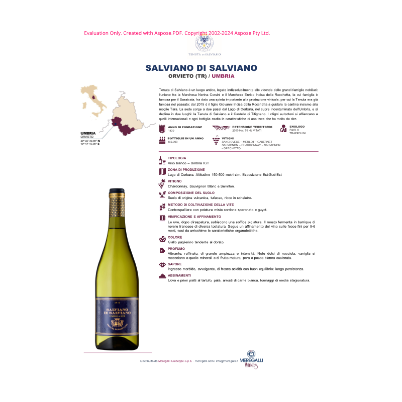 VINO BIANCO SALVIANO TENUTA DI SALVIANO 75 CL