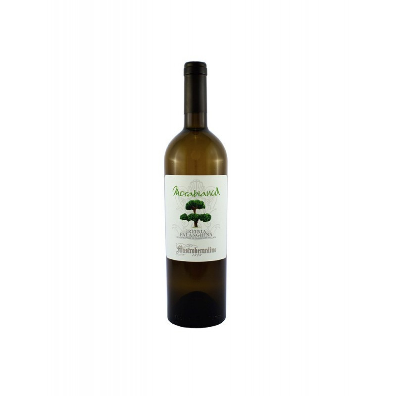 VINO FALANGHINA IRPINIA DOC MORABIANCA MAGNUM MAST