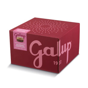 PANETTONE GRAN GALUP LAMPONI/CIOCCOLATO GALUP 750