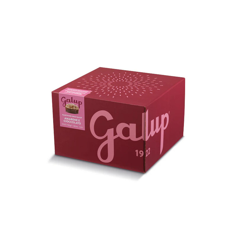 PANETTONE GRAN GALUP LAMPONI/CIOCCOLATO GALUP 750