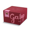 PANETTONE GRAN GALUP LAMPONI/CIOCCOLATO GALUP 750