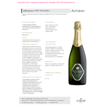 SPUMANTE BRUT TRENTODOC MILLESIMATO MAGNUM ALTEMAS