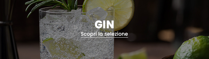 divino wine caveau sezione gin