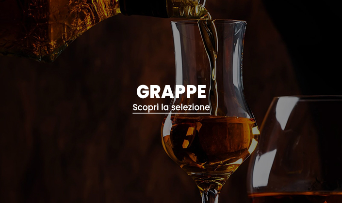 divino wine caveau sezione grappe